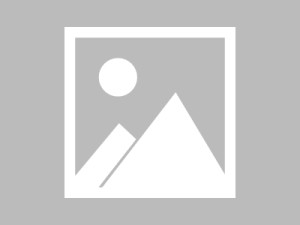 ChatGPT中文版免账号注册在线使用入口