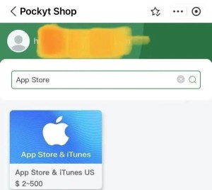 国内购买正版ChatGpt-Plus教程