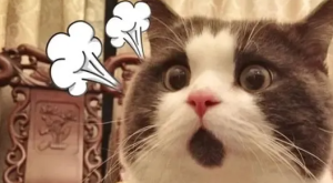 GPT-4能否取代数据分析师?达摩院的初步实验为你解答~