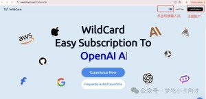 国内用户如何购买并使用OpenAI API,完整指南