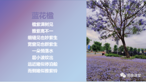 当我还在担心被chatGPT取代的时候，一不小心被这个学生取代了